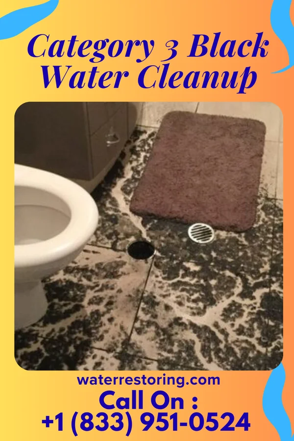 Category 3 Black Water Cleanup in Cornish, OK